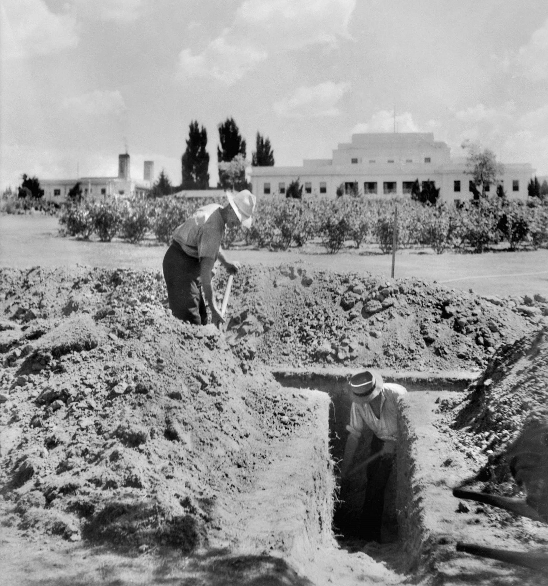 Workmen digging trenches with Parliament House in the background.