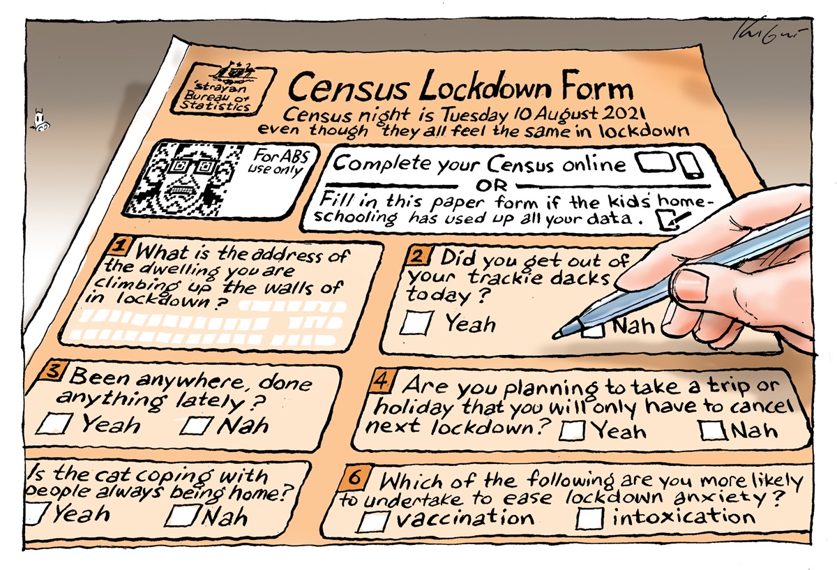 A census form, but contains alternate questions that are lockdown related.