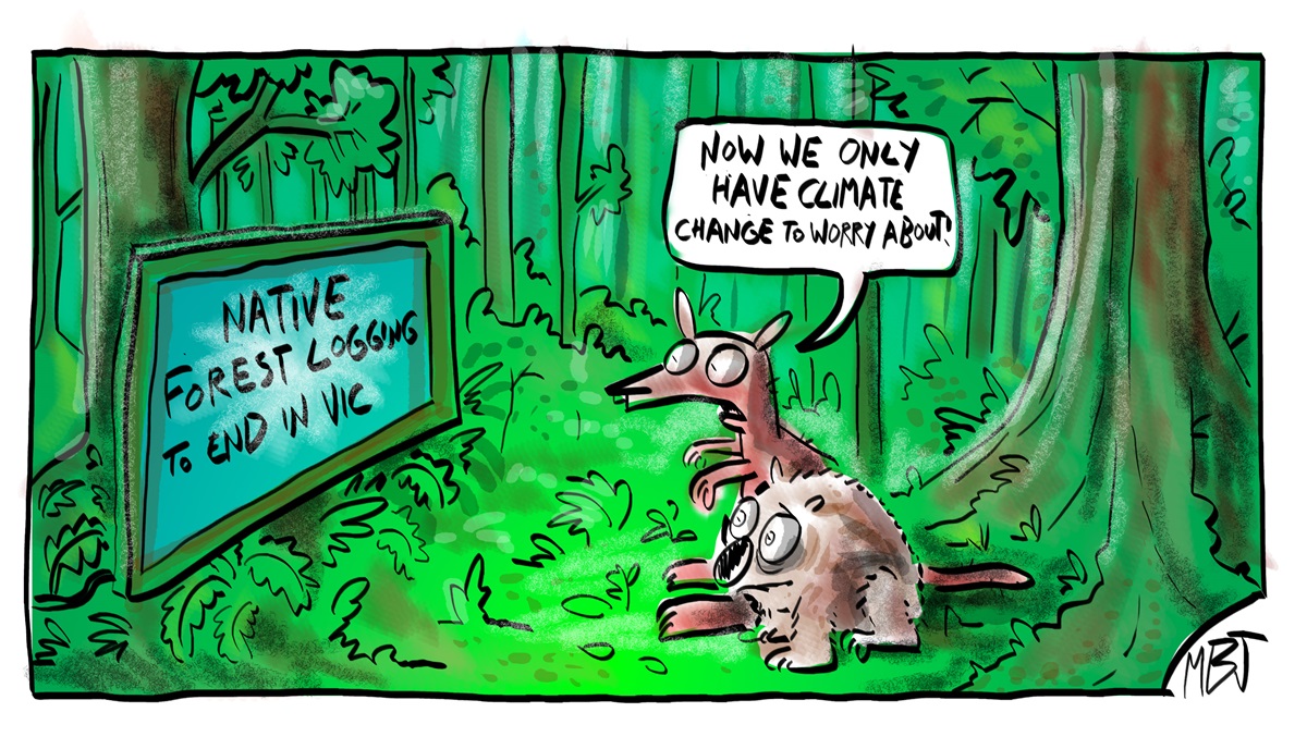 Two animals look at a sign in the forest that reads 'Native forest logging to end in Vic'. One says, 'Now we only have climate change to worry about!'