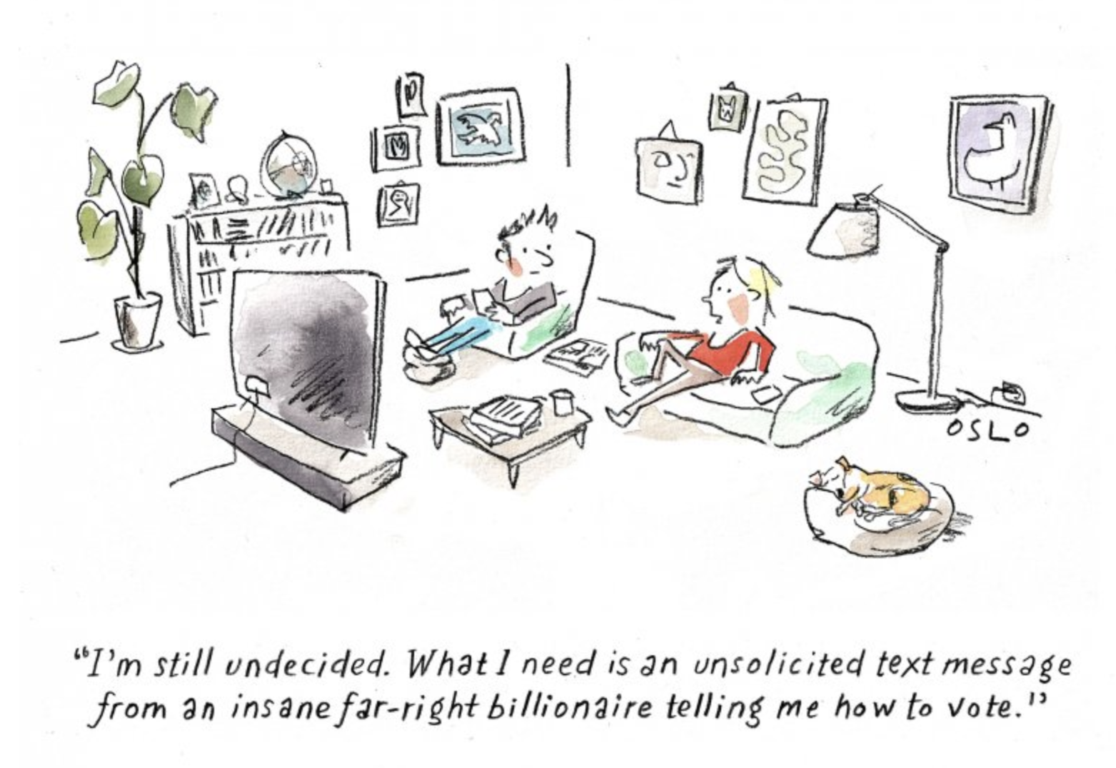 Two people watch TV. One says, 'I'm still undecided. What I need is an unsolicited text message from an insane far-right billionaire telling me how to vote.' 