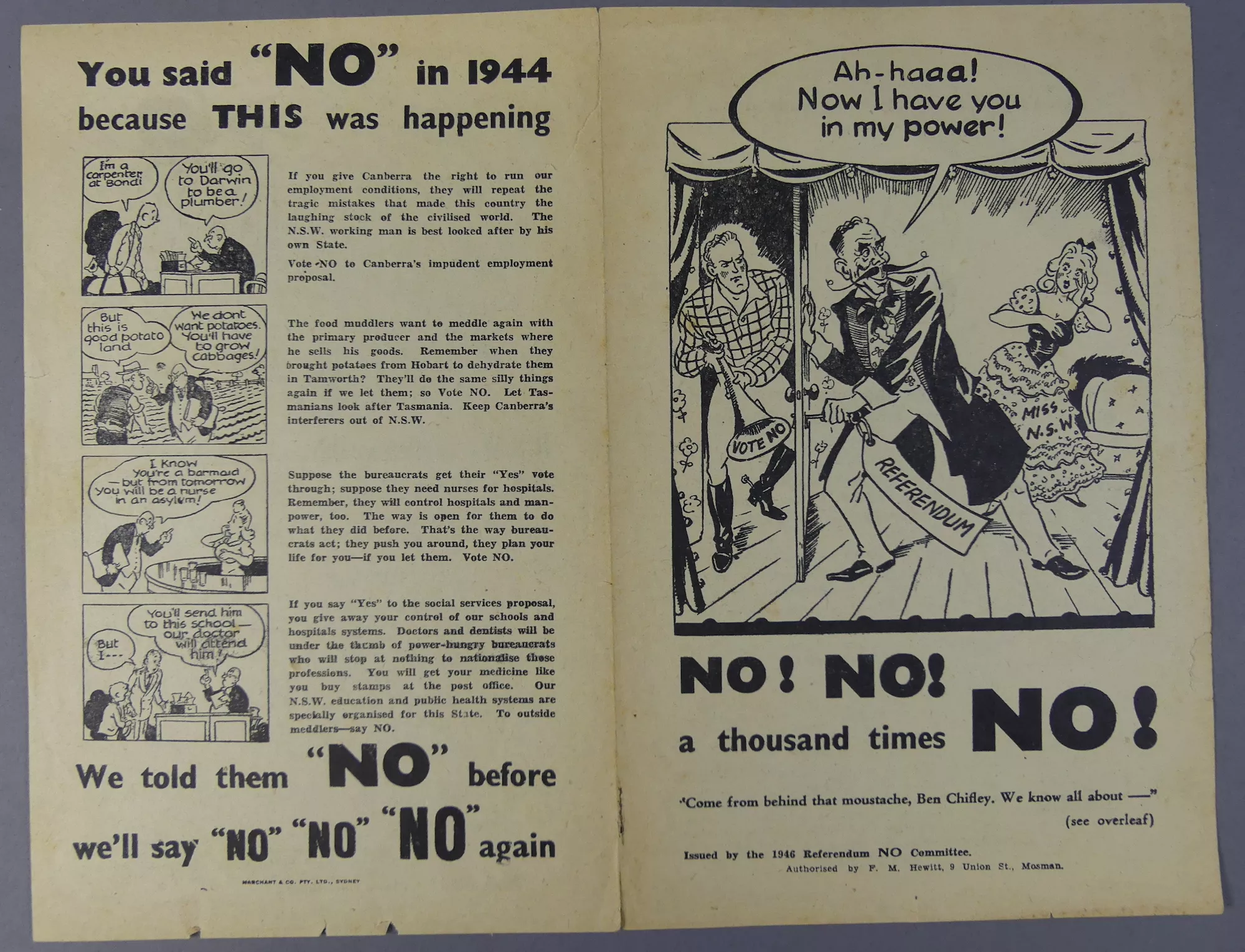 In the 1946  ‘no’ campaign pamphlet, which focused heavily on the rights of the states, Chifley was portrayed as a power-hungry villain and a spider  
