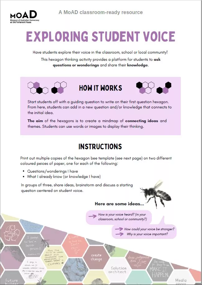 Preview of Exploring Student Voice activity sheet