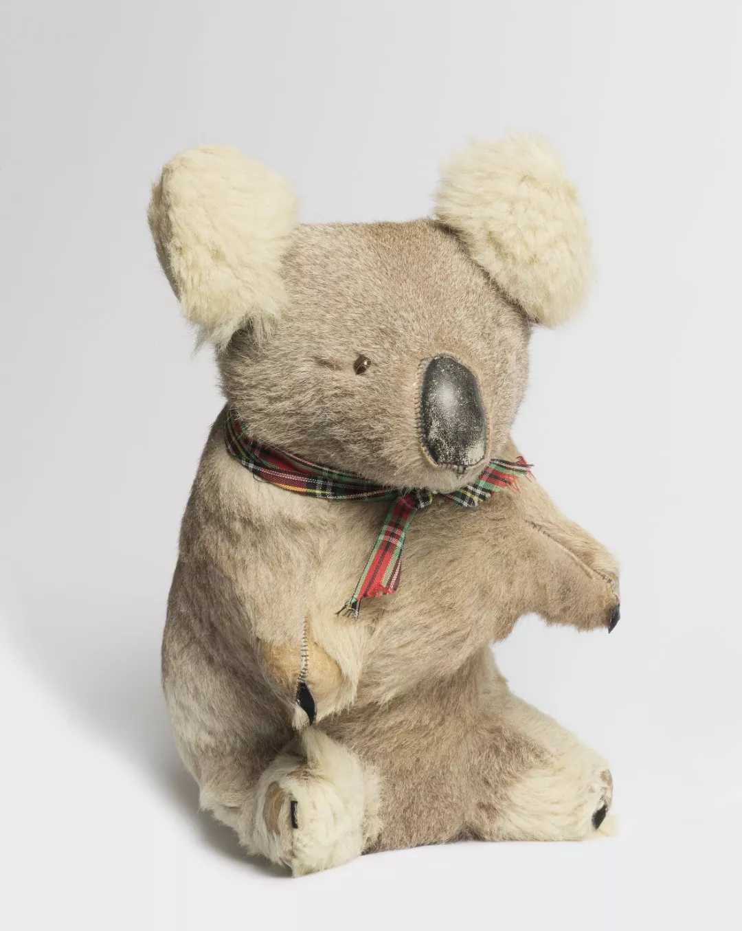 A light brown toy koala with fluffy ears, a worn black leather nose and a red and green tartan ribbon tied around its neck. The toy is sitting with its arms outstretched. 