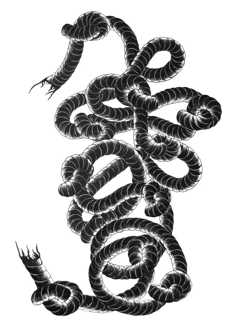 A black and white drawing of a long piece of rope, tangled into knots, with both ends frayed.