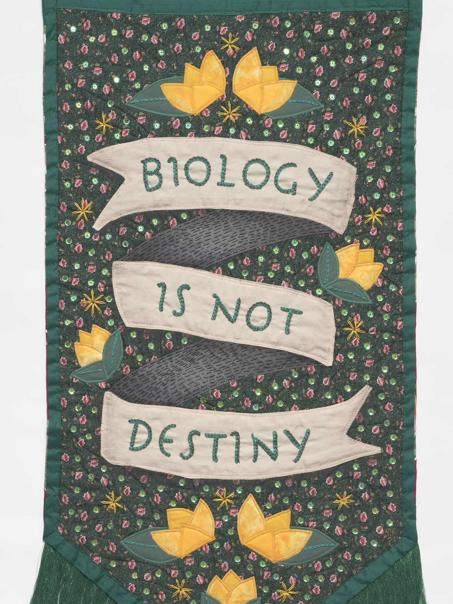 A green embroidered banner with the words 'biology is not destiny'.