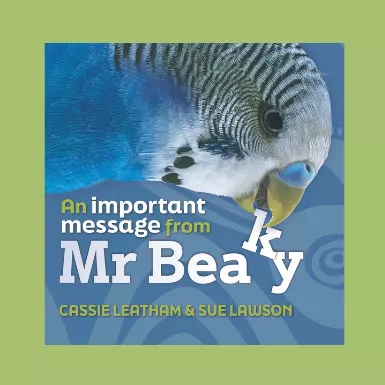 Mr Beaky book cover